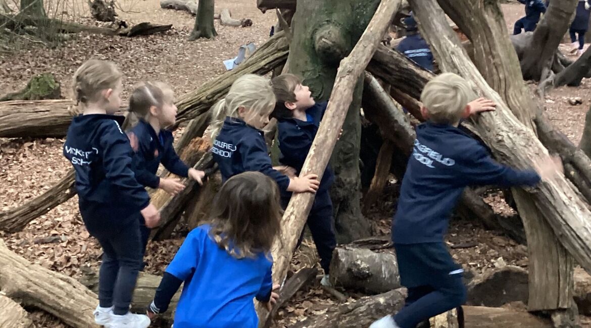Reception's Box Hill Adventure