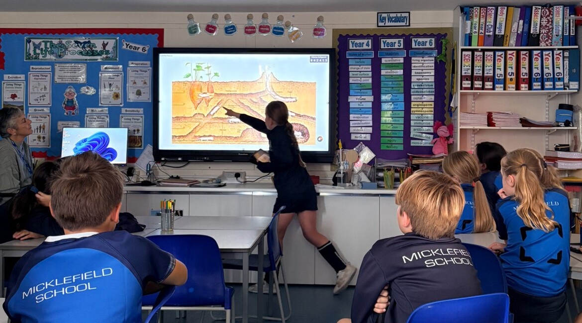 Mole Rat Themed Eco Warriors Club