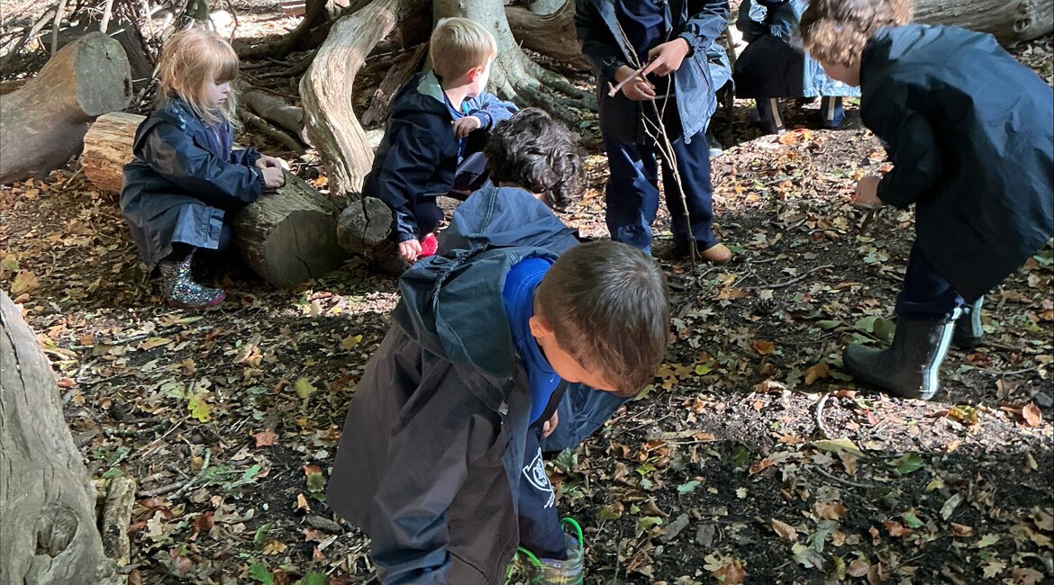 Reception's Autumn Adventure at Box Hill