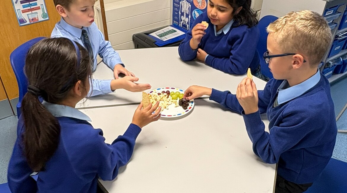 Year 4 Fibre Feast Science Lesson