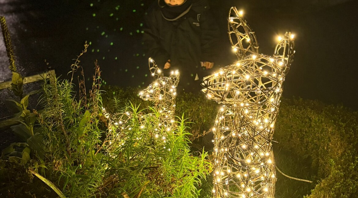 Festive Fun at Micklefield Nursery