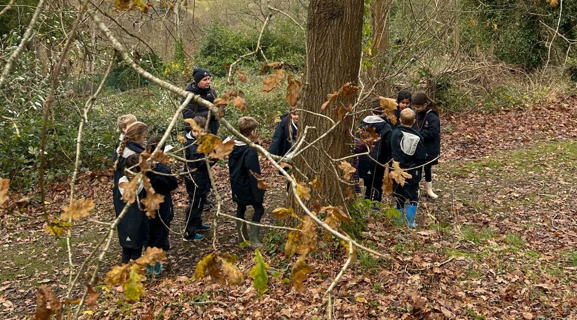 Year 3 Visit High Ashurst