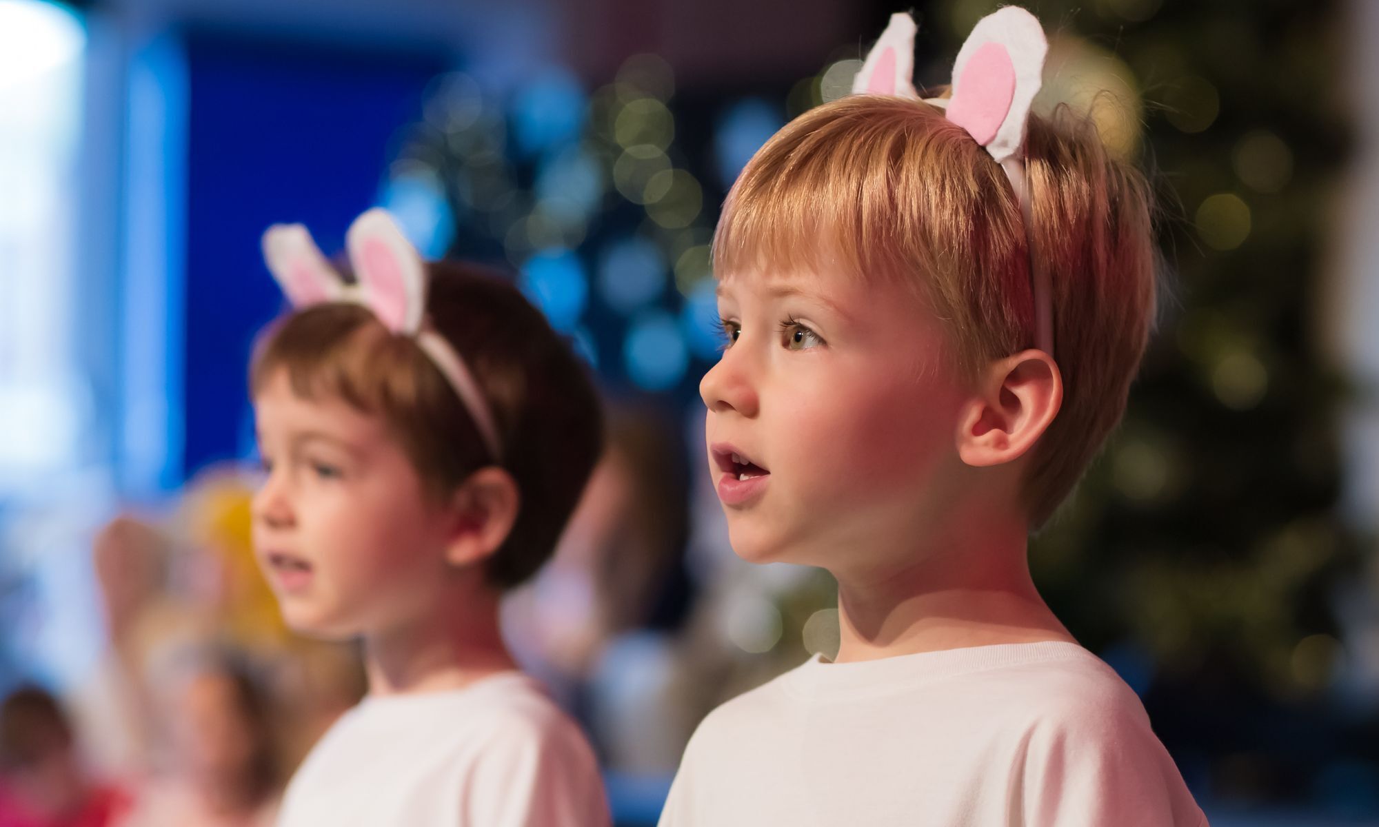 An independent co-educational school and nursery for 2+ to 11 year olds